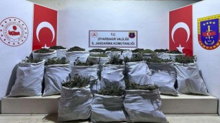 Diyarbakırda 6 ayrı noktada 543 kilo esrar ele geçirildi