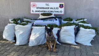 Diyarbakırda bir adreste yapılan aramada 177 kilo esrar ele geçirildi