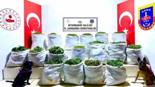 Diyarbakırda uyuşturucu operasyonu: 285 kilo esrar ele geçirildi