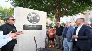 Doğumunun 100üncü yılında Yaşar Kemal Muratpaşada anıldı