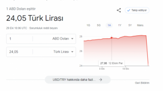 Google aramada Dolar 24 TL ye geriledi! Görenler hayrete düştü