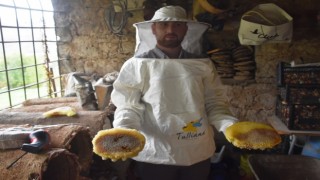 Dünyaca ünlü Bitlis kara kovan balının hasadına başlandı