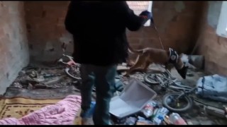 Düzcede polisten uyuşturucu operasyonu