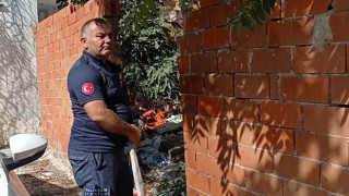 Edremitte çatı yangını söndürüldü, karşı evin bahçesinde de yangın çıktı