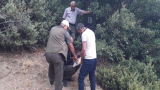 Elazığda fotokapanların konum ve kart değişimleri yapıldı