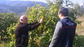 Emette çiftçilere meyve ağaçlarında bitki sağlığı ile ilgili mücadele yöntemleri anlatıldı