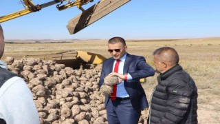 Emirdağ ilçesinde şeker pancarı hasadı sürüyor