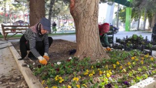 Ereğli Belediyesi çevre düzenleme çalışmalarını sürdürüyor