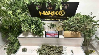 Erzincanda 1.285 gram esrar ve 11 kök kenevir ele geçirildi