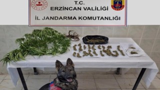 Erzincanda jandarma ekipleri suça geçit vermiyor