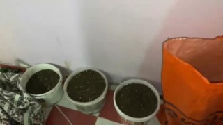 Evde düzenek kurup uyuşturucu yetiştiren şahıs yakayı ele verdi