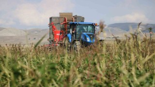 Felaketi yaşamışlardı, çiftçiyi de binlerce lira zarara uğrattı