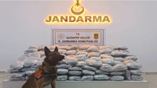Gaziantepte 121 kilo skunk ele geçirildi: 1 şahıs tutuklandı