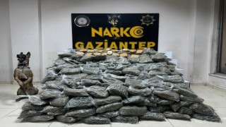 Gaziantepte 170 kilogram skunk ele geçirildi