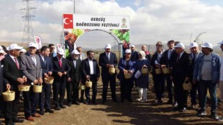 Gercüşte bağ bozumu ve gastronomi festivali