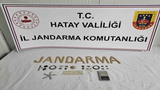 Hatayda evinde yapılan aramada 8 bin 248 küçük altın sikke ele geçirilen şahıs gözaltına alındı