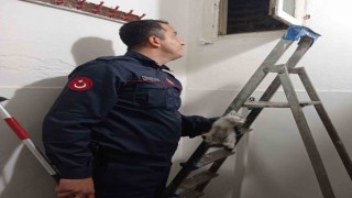 Havalandırma boşluğuna düşen kediyi itfaiye kurtardı