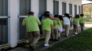 Hayvanları Koruma Gününde iç ısıtan manzara