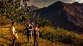 Hizanda fıstık hasadı