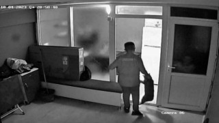 İşe yeni başlayan çırak, kuaförün kedisini dakikalarca tekme ve yumruklarla darp etti