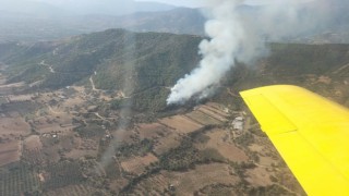 İzmirde ormanlık alandaki yangına havadan ve karadan müdahale