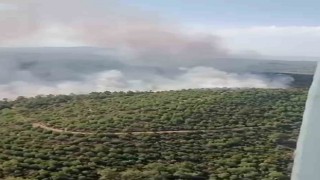 İzmirdeki orman yangınına havadan ve karadan müdahale