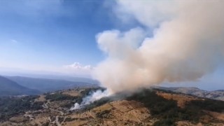 İzmirdeki orman yangınına havadan ve karadan müdahale