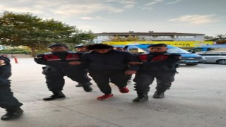 Jandarma ekiplerinden kaçak göçmenlere operasyon: 10 kişi yakalandı