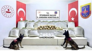 Jandarma uyuşturucu tacirlerine fırsat vermiyor