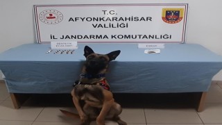 Jandarmadan uyuşturucu baskını