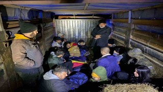 Jandarmanın durdurduğu araçta 17 düzensiz göçmen yakalandı