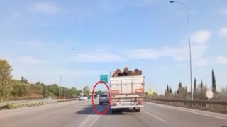 Kararsız sürücü otobanda refüje böyle daldı