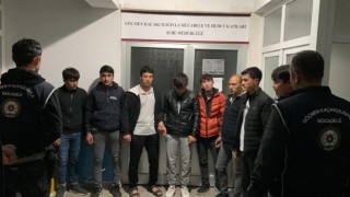 Kastamonuda 9 düzensiz göçmen yakalandı