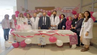 Kastamonuda Emzirme Haftası etkinliği düzenlendi