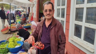 Kastamonuda kışın habercisi kestane, pazara indi