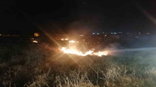 Kavakta anız yangını