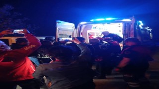 Kaybolan anne ve kızı ormanda bulundu