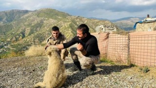 Kaymakamın bulduğu yavru köpekler güvenlik güçlerine arkadaş oldu