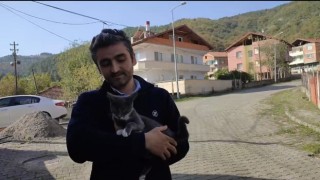 Kedinin fare ile oyunu izleyenleri gülümsetti