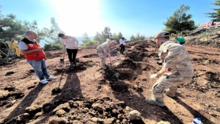 Kiliste Cumhuriyetin 100üncü yılı anısına 100 öğrenci yüz fidan dikti