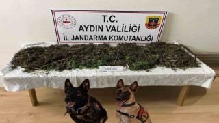 Koçarlıda uyuşturucu operasyonu: 2 tutuklama