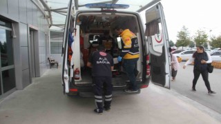 Konyada ceviz ağacından düşen 3 kişi yaralandı