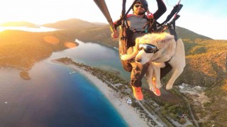 Köpeğiyle yamaç paraşütü atlayışı yaptı