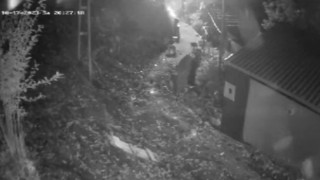Köy merkezine inen ayıları torpil atarak kaçırdılar
