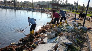 Kütahya Yedigöllerde göl alanında temizlik çalışması yapıldı