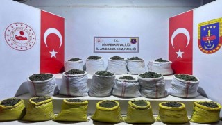 Lice kırsalında 366 kilogram uyuşturucu ile 270 bin kök kenevir bitkisi ele geçirildi