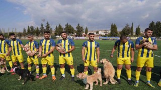 Maça sahiplendirilmeyi bekleyen köpeklerle çıktılar
