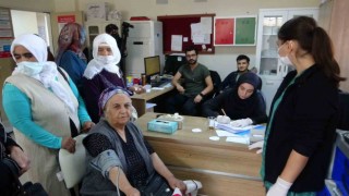 Malatyada sağlıklı kadınlar etkinliği düzenlendi