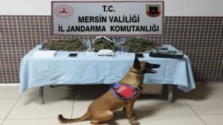 Mersinde uyuşturucu operasyonu: 4 gözaltı