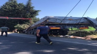 Milasta balık yemi yüklü tır tarlaya uçtu